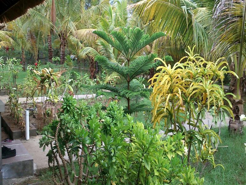 Fantastic Cottages Gili Meno Kültér fotó